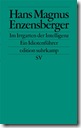 enzensberger-irrgarten